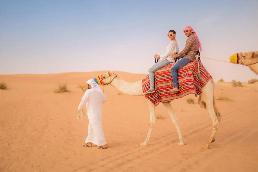 Camel Safari