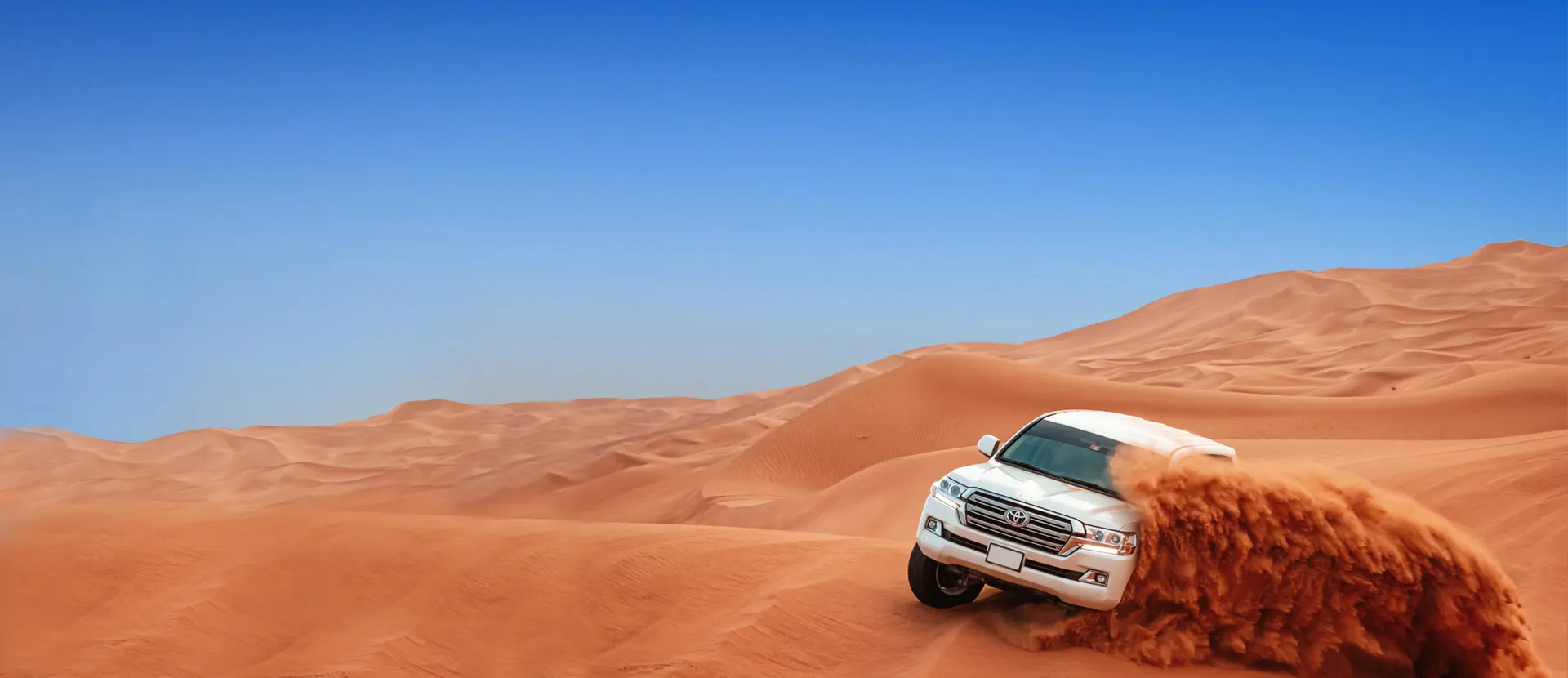 Morning Desert Safari
